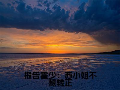 霍思洲苏南在线阅读（报告霍少：苏小姐不想转正小说）全文免费阅读无弹窗大结局_报告霍少：苏小姐不想转正免费最新章节列表