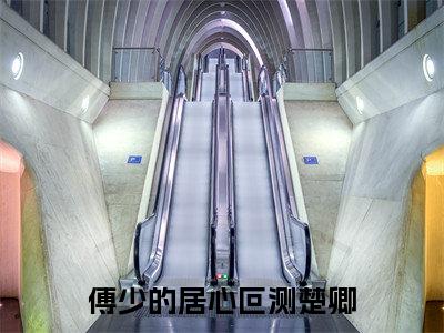 傅少的居心叵测楚卿(傅凛城楚卿)小说全文免费阅读-傅凛城楚卿小说最新章节完整版