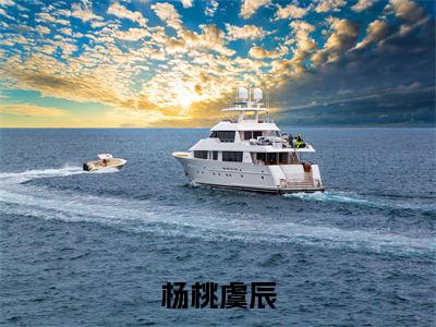 杨桃虞辰(杨桃虞辰)全文免费阅读无弹窗大结局_杨桃虞辰免费阅读最新章节列表_笔趣阁(杨桃虞辰)