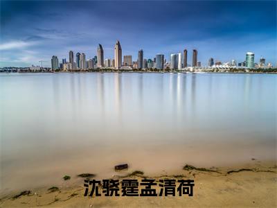 沈骁霆孟清荷(孟清荷沈骁霆)全文免费阅读无弹窗大结局_孟清荷沈骁霆最新章节列表