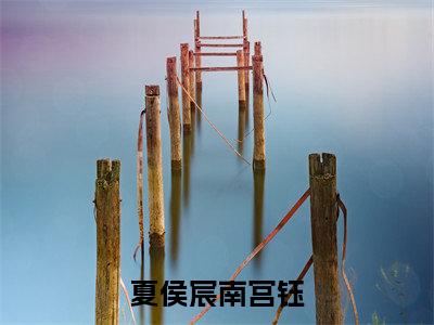 夏侯宸南宫钰(南宫钰夏侯宸)全文免费阅读无弹窗大结局_夏侯宸南宫钰全文免费阅读最新章节列表
