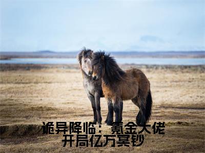 诡异降临:氪金大佬开局亿万冥钞小说全文免费阅读(林星洛)全文免费阅读无弹窗大结局_诡异降临:氪金大佬开局亿万冥钞最新章节列表
