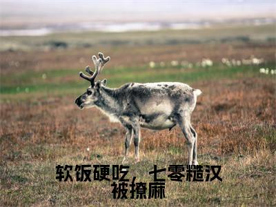 软饭硬吃,七零糙汉被撩麻(蒋灏沐禾婉)小说全文免费阅读正版无弹窗_(蒋灏沐禾婉)免费阅读无弹窗最新章节列表