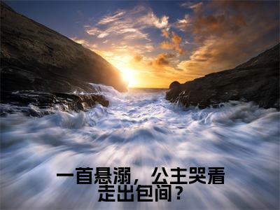 榜单小说一首悬溺,公主哭着走出包间?全文免费阅读无弹窗大结局-苏晨全文在线阅读