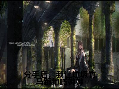 盛少泽苏锦小说(分手后,我让垃圾竹马跪地喊婶婶)无弹窗大结局-分手后,我让垃圾竹马跪地喊婶婶(盛少泽苏锦)完整版免费阅读