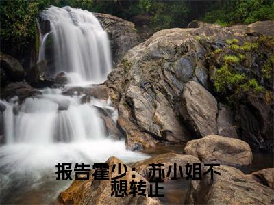 报告霍少:苏小姐不想转正全本资源免费阅读结局无删节-霍思洲苏南小说全文阅读无弹窗(报告霍少:苏小姐不想转正)
