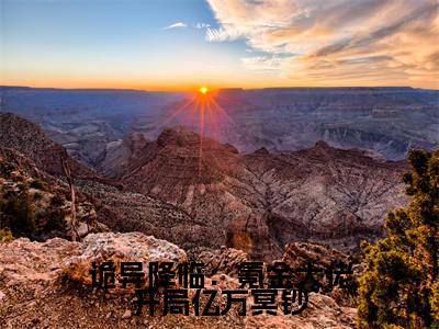 诡异降临:氪金大佬开局亿万冥钞全文免费阅读无弹窗大结局,林星洛小说精彩免费试读