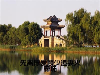 先离厚爱顾少追妻火葬场(秦杳顾砚梁)小说全文大结局-(秦杳顾砚梁)全章节完整版在线阅读