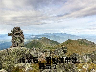 流放后,厨娘她带娃暴富了全文免费阅读无弹窗大结局,苏浅小说最新章节