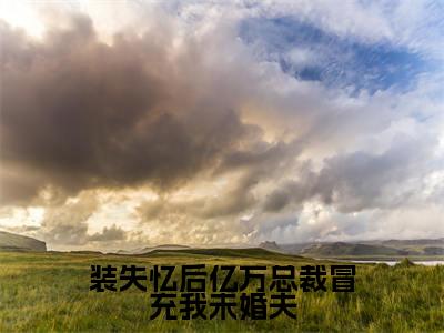 装失忆后亿万总裁冒充我未婚夫(秦颜陆北川)全文免费阅读_装失忆后亿万总裁冒充我未婚夫小说最新章节列表笔趣阁