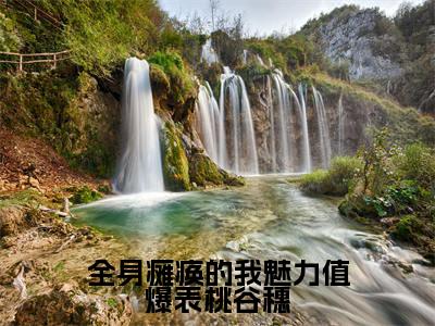 李知云桃谷穗全文免费阅读无弹窗大结局_全身瘫痪的我魅力值爆表桃谷穗最新章节列表_笔趣阁