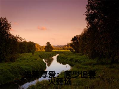 先离厚爱:顾少追妻火葬场小说全文大结局-先离厚爱:顾少追妻火葬场(秦杳顾砚梁)小说全文免费阅读