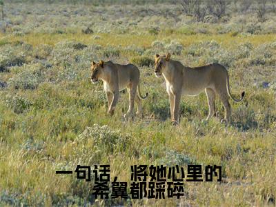 一句话,将她心里的希翼都踩碎(梁悦悦陆亦扬)最新章节在线阅读-梁悦悦陆亦扬小说一句话,将她心里的希翼都踩碎在哪里可以看