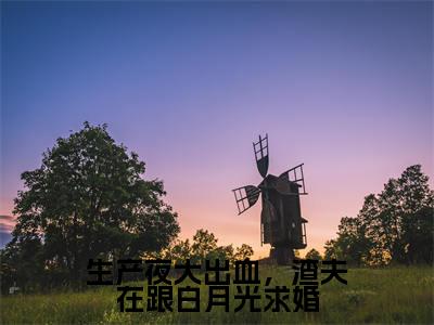 慕晚柠席洵全文免费阅读大结局生产夜大出血,渣夫在跟白月光求婚最新章节列表(全文)+(番外)