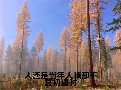 人还是当年人情却不复初遇时小说卫璟谢知韫大结局阅读-新上热文小说人还是当年人情却不复初遇时(卫璟谢知韫)讲的是什么
