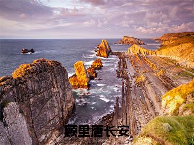顾里唐长安(唐长安顾里)全文免费阅读无弹窗大结局_唐长安顾里最新章节列表