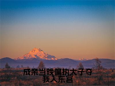 贺玥宁如颂(成亲当晚偏执太子夺我入东宫)全文免费贺玥宁如颂读无弹窗大结局_贺玥宁如颂免费成亲当晚偏执太子夺我入东宫读最新章节列表_笔趣阁