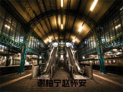 赵怀安谢柚宁(谢柚宁赵怀安)全文免费阅读无弹窗_赵怀安谢柚宁最新小说_笔趣阁