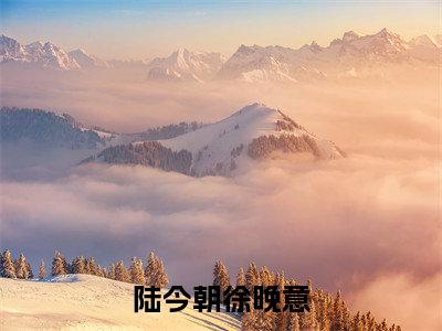陆今朝徐晚意(徐晚意陆今朝)全文免费阅读无弹窗大结局_(陆今朝徐晚意阅读全文大结局)徐晚意陆今朝最新章节列表