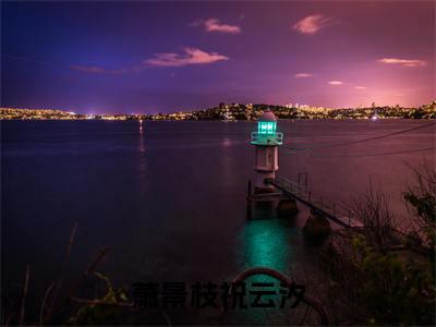 祝云汐萧景枝小说在线阅读萧景枝祝云汐无广告小说免费在线阅读(免费)+(结局)
