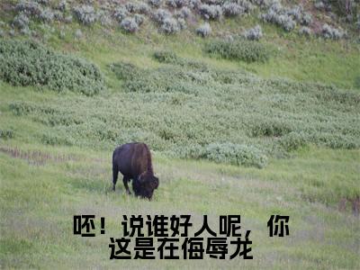 肖红勺小说免费(呸!说谁好人呢,你这是在侮辱龙)全文免费阅读无弹窗-呸!说谁好人呢,你这是在侮辱龙小说全文免费阅读最新章节列表