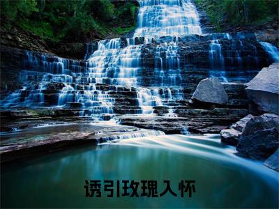 诱引玫瑰入怀(宋以宁江鹤川)小说免费阅读-诱引玫瑰入怀(宋以宁江鹤川)已完结全集大结局小说