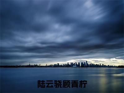 陆云骁顾青柠小说(顾青柠陆云骁)全文免费阅读无弹窗大结局_陆云骁顾青柠全文免费完结版阅读(顾青柠陆云骁)
