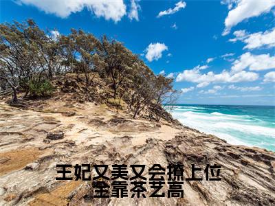 王妃又美又会撩上位全靠茶艺高全文免费阅读无弹窗大结局_林晚穿最新章节列表_笔趣阁