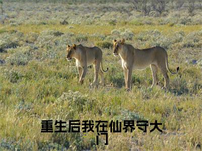 璃红月(重生后我在仙界守大门)全文免费阅读无弹窗大结局_重生后我在仙界守大门_笔趣阁