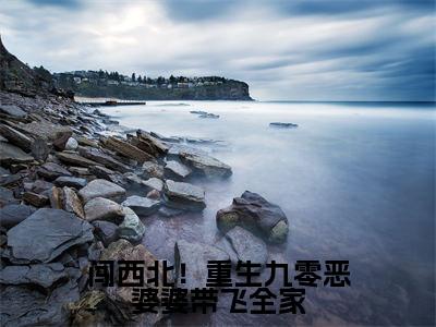 闯西北!重生九零恶婆婆带飞全家是什么小说-安玲全文免费阅读无弹窗大结局(闯西北!重生九零恶婆婆带飞全家)最新章节阅读