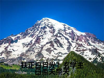 扶正白月光?玄学主母杀夫祭天(沈琼枝)全文免费阅读无弹窗大结局_(沈琼枝在线阅读)最新章节列表笔趣阁(沈琼枝)
