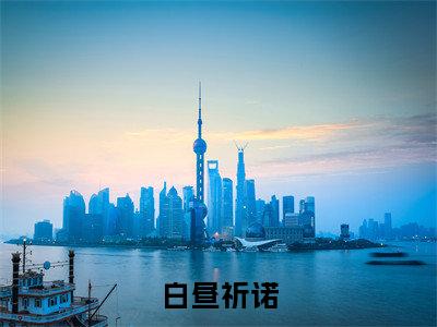 白昼祈诺无广告小说免费阅读,白昼祈诺祈诺白昼完结小说在线阅读