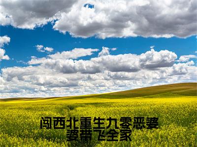 安玲（闯西北重生九零恶婆婆带飞全家）免费小说完整版阅读-（安玲）最新章节在线阅读
