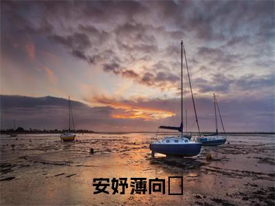 薄向芃安妤(薄向芃安妤)全文免费阅读无弹窗_安妤薄向芃小说免费阅读_笔趣阁