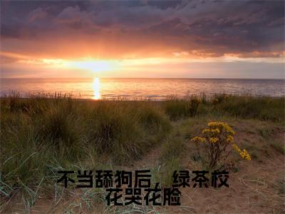 林阳免费阅读（不当舔狗后，绿茶校花哭花脸）全文免费阅读无弹窗大结局_林阳免费阅读最新章节列表