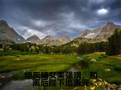 楼苏叶大结局免费阅读炮灰嫡女美强飒,和离后陛下追着宠最新热点小说