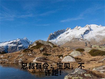 秦恩甜陆令山(总裁有令:宝贝,不许跑!)小说全文无删减版在线阅读_总裁有令:宝贝,不许跑!(秦恩甜陆令山无弹窗)_笔趣阁