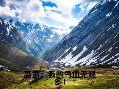 高武:我的气血无限多!在线阅读(林墨叶晴)全文无弹窗大结局_林墨叶晴全文在线阅读无弹窗
