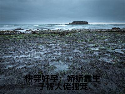快穿好孕:娇娇靠生子被大佬独宠小说(林颜)全文免费阅读无弹窗大结局_(快穿好孕:娇娇靠生子被大佬独宠)林颜小说免费阅读最新章节列表