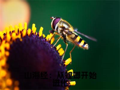 山海经:从螳螂开始进化(苏晨)全网首发最新小说-主角苏晨全文在线免费阅读