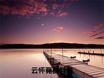 云怀菀薛容景多人追的小说在哪里可以看云怀菀薛容景小说免费阅读全章节