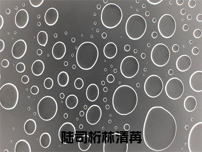 陆司桁林清苒小说(林清苒陆司桁)全文免费阅读_陆司桁林清苒小说(林清苒陆司桁)最新章节列表笔趣阁小说