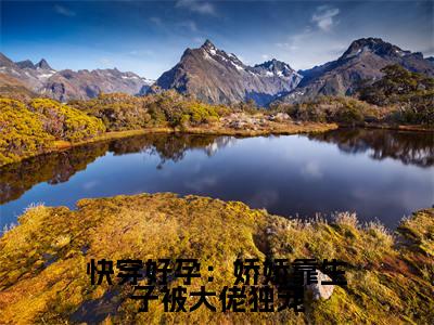 快穿好孕:娇娇靠生子被大佬独宠(主角是林颜全文免费阅读无弹窗)_快穿好孕:娇娇靠生子被大佬独宠全文免费阅读无弹窗大结局