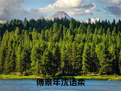 傅景年沈语柔无广告小说免费阅读,傅景年沈语柔沈语柔傅景年完结小说在线阅读