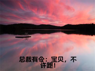 总裁有令:宝贝,不许跑!(秦恩甜陆令山)全文免费阅读无弹窗大结局_(秦恩甜陆令山阅读无弹窗)总裁有令:宝贝,不许跑!小说_笔趣阁