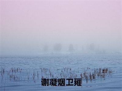 谢凝烟卫雍小说(卫雍谢凝烟)全文免费阅读无弹窗大结局_谢凝烟卫雍完整版最新阅读_笔趣阁(卫雍谢凝烟)