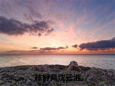 (沈云淮林舒月小说完整版)林舒月沈云淮全文免费阅读-(林舒月沈云淮)沈云淮林舒月小说最新章节列表