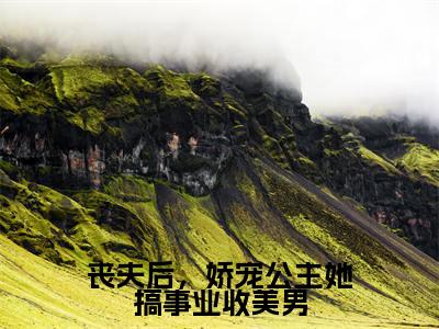 丧夫后,娇宠公主她搞事业收美男(华知微)全文免费阅读无弹窗大结局_丧夫后,娇宠公主她搞事业收美男最新章节列表-笔趣阁华知微