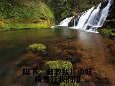 陛下,救救我!小妖精要吃我的瓜(崔瑶)小说全文免费阅读-陛下,救救我!小妖精要吃我的瓜(崔瑶)小说免费版最新更新阅读