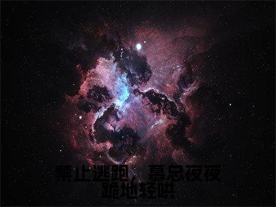 禁止逃跑,慕总夜夜跪地轻哄全文免费阅读_禁止逃跑,慕总夜夜跪地轻哄(阮星时慕霖霄免费阅读无弹窗)阮星时慕霖霄最新章节列表笔趣阁